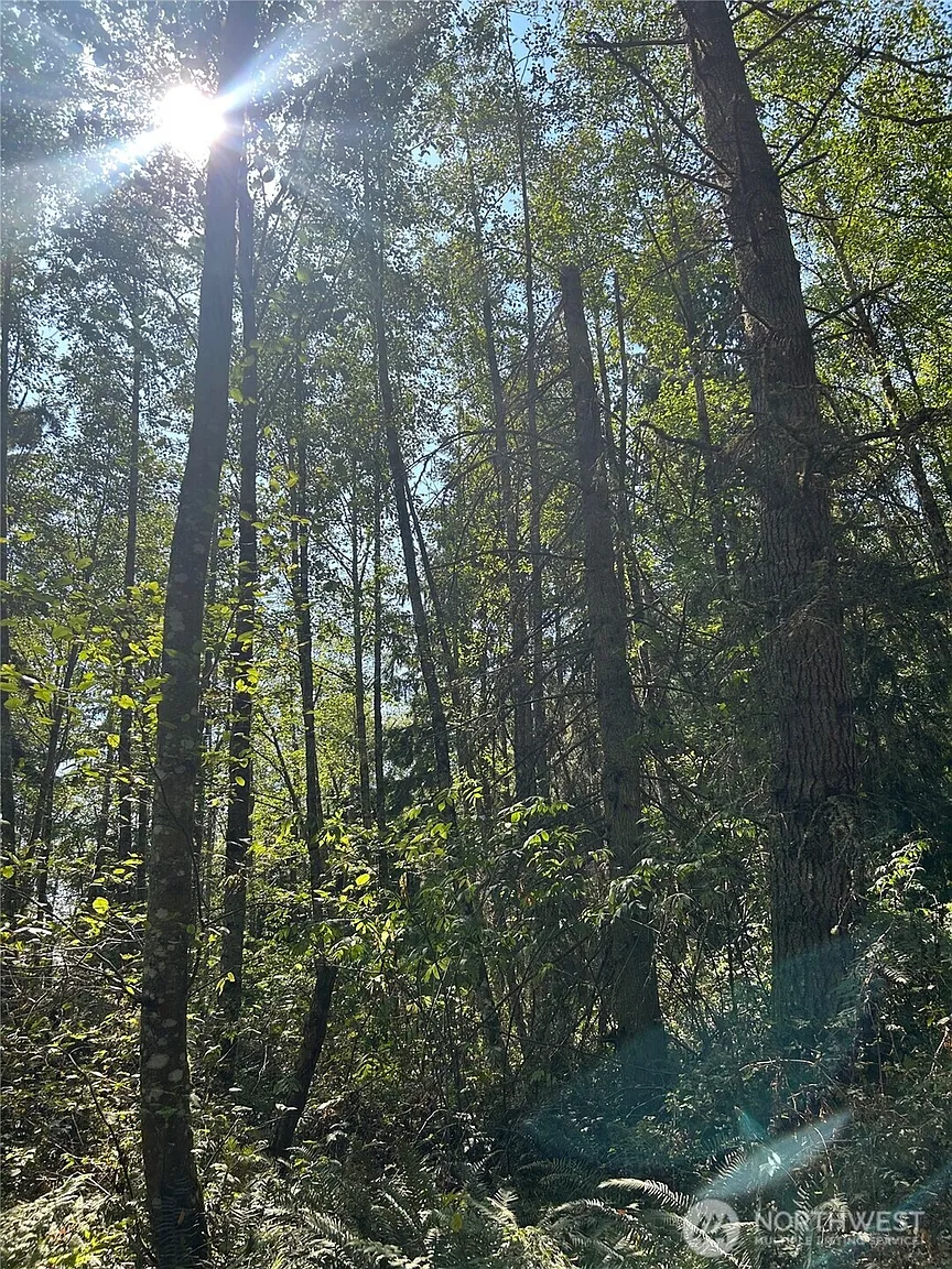 0 xxx Forest View Lane photo 1