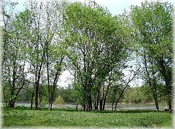 2nd image of 9121 James Riverwatch Dr