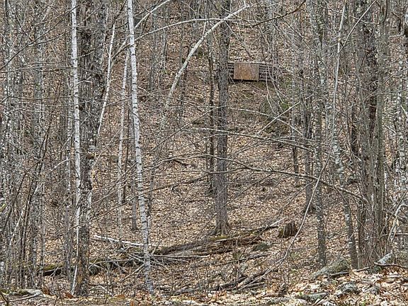 5th image of 75 Bond Spring Road