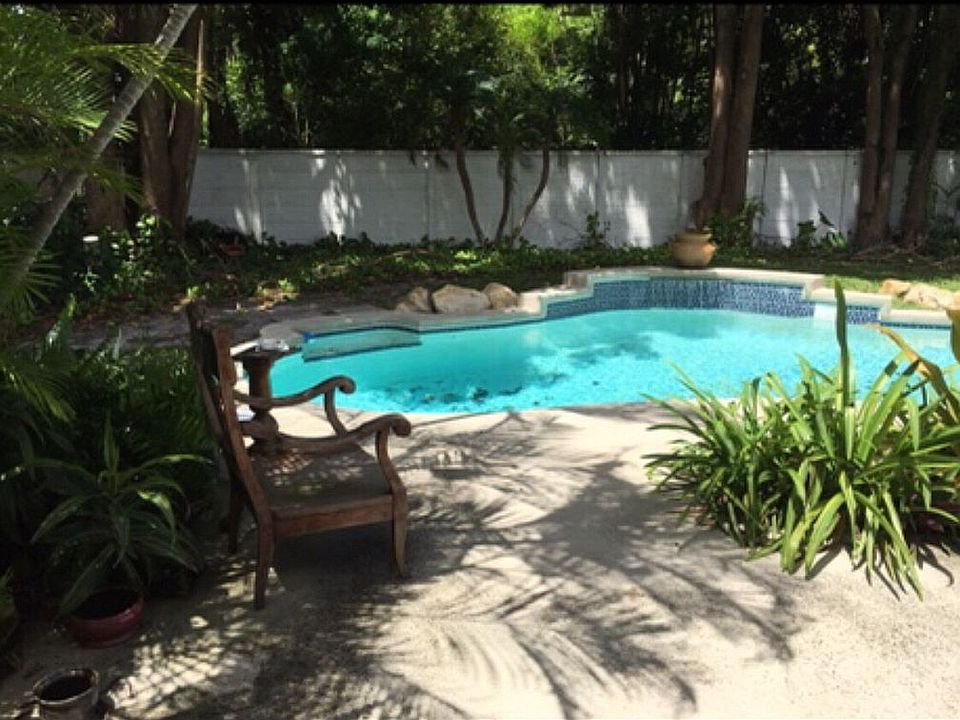Tropical backyard 
