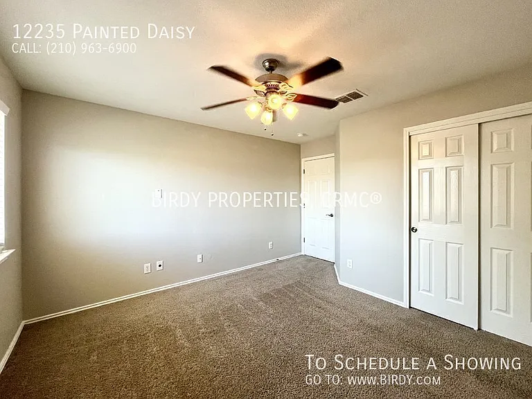 12235 Painted Daisy — Photo 32