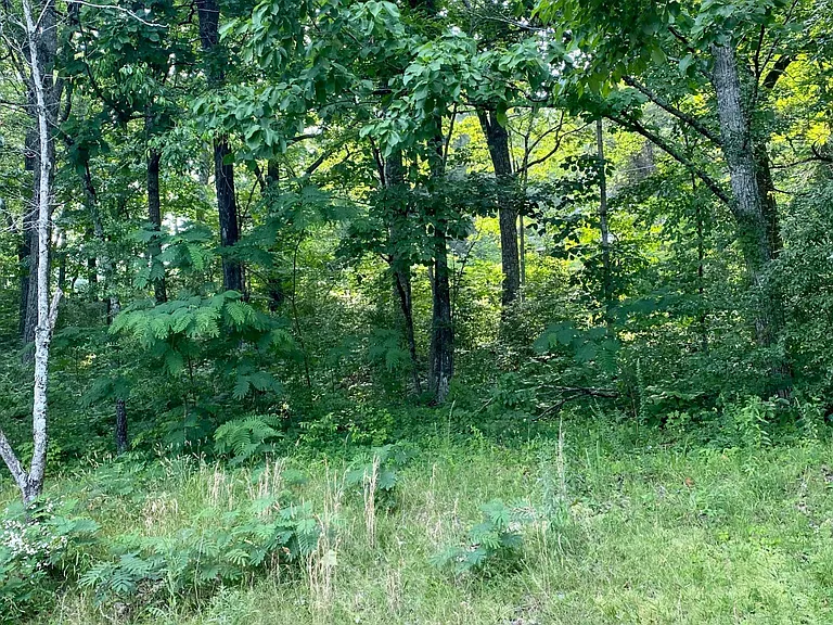 3128 Blue Springs Rd SE — Photo 32