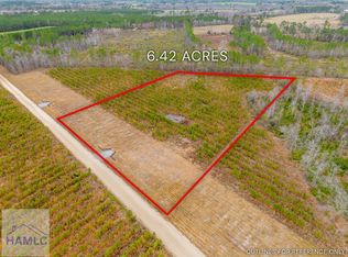 13 Bennett Grooms Rd, Brooklet, GA 30415