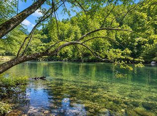 133 Muller Ln, Ellijay, GA 30540