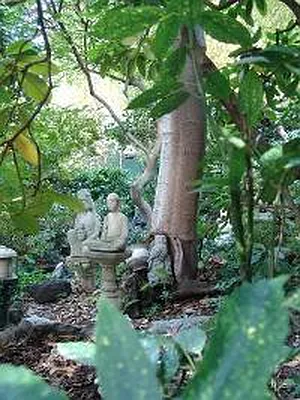 Sold by Corcoran | media 15