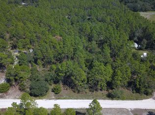 LOT 3 NW 17th Ct LOT 3, Bell, FL 32619