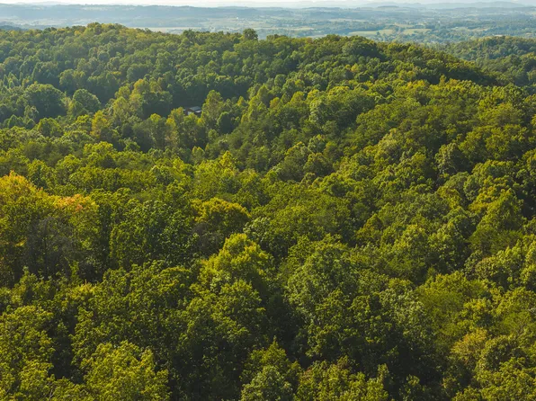 Stone Mountain Rd, Bulls Gap, TN 37711