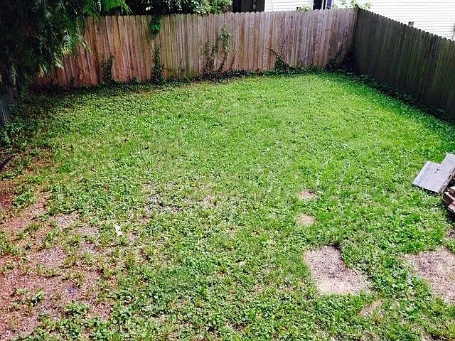 429 Castle St #HOUSE — Photo 8