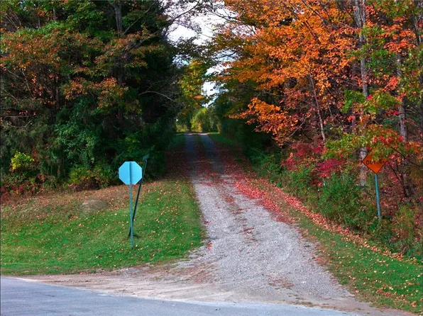 L1032 Thomson Rd, Canaseraga, NY 14822