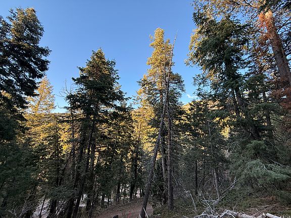 5th image of 38 Pine Creek Rd