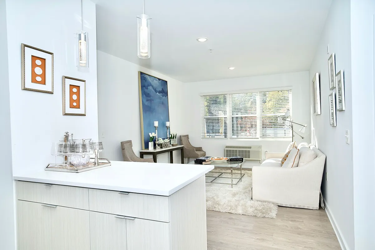 Avenel Holdings — Photo 2