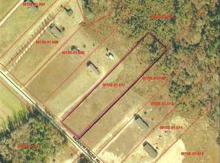 7146 Meadow Prong Rd, Effingham, SC 29541