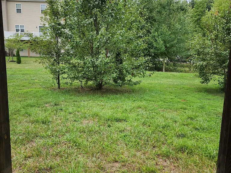 123 Lorraine Dr — Photo 27