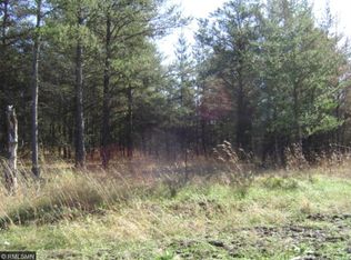 LOT D Xxx Tbd LOT D, Park Rapids, MN 56470
