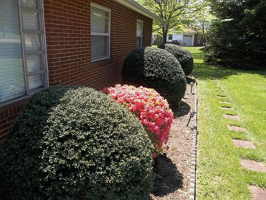 5th image of 2304 Yorkcrest Dr