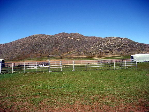Large Horse Corral