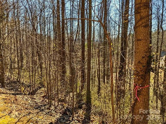 5th image of 45 Ashewood Mountain Way