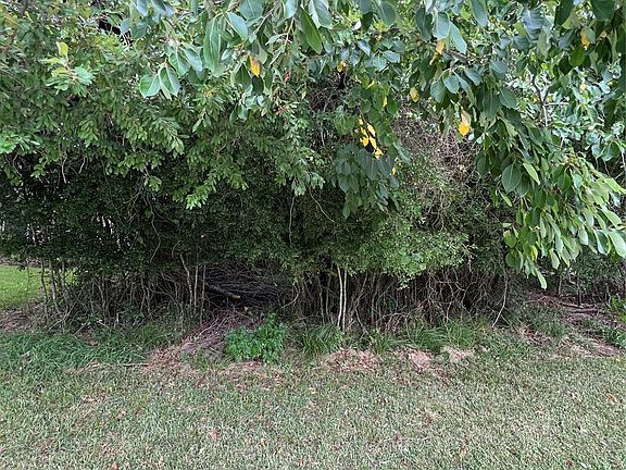 2nd image of 12115 Hawthorne Dr