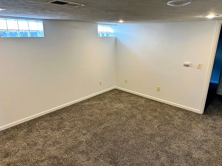 Basement family room / office