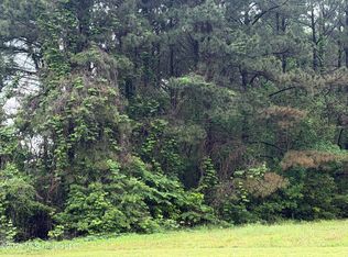 Green River Rd Lot 2, Lake Cormorant, MS 38641