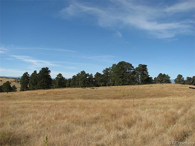 2nd image of 10734 Shadow Pines Rd