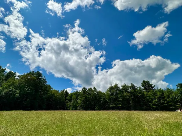 L11 Mountain Pond View Road, Conesville, NY 12076