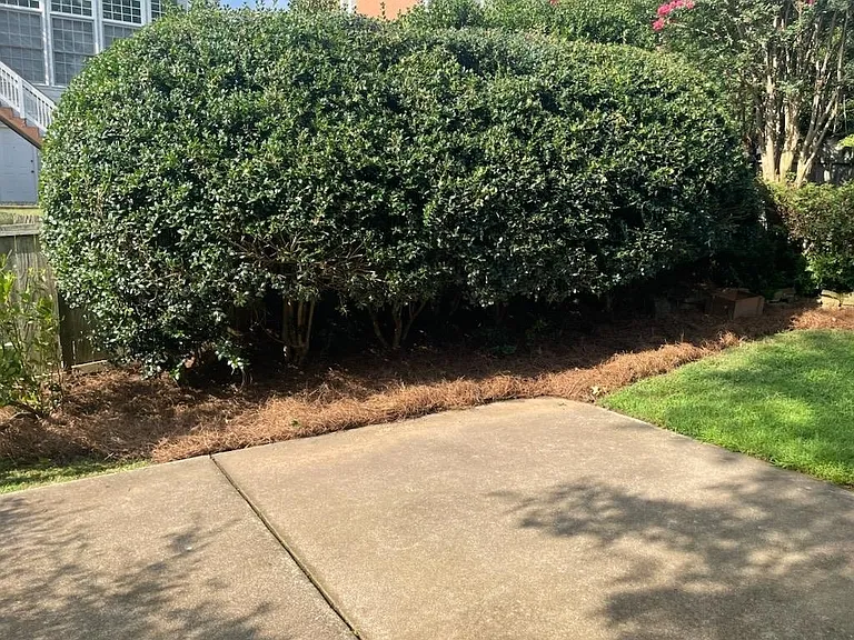 345 Eastcote Dr — Photo 47