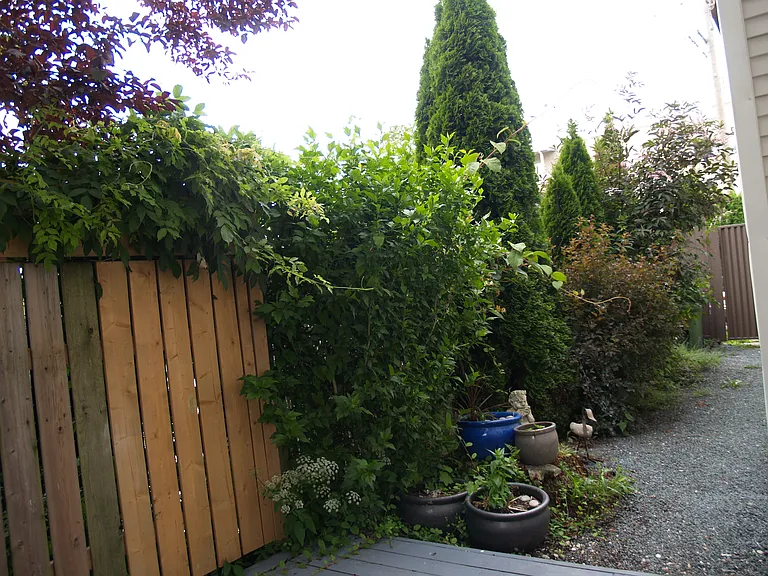 Bole Ave — Photo 10