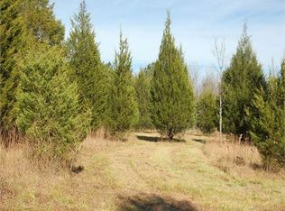 1323 Foggy Hollow Trl, Fitzpatrick, AL 36029