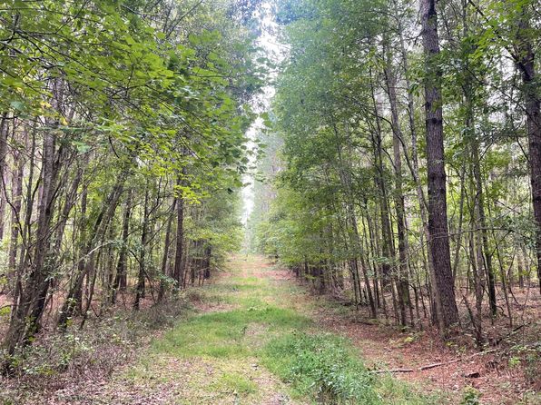 0 Blackberry Rdg, Vance, AL 35490