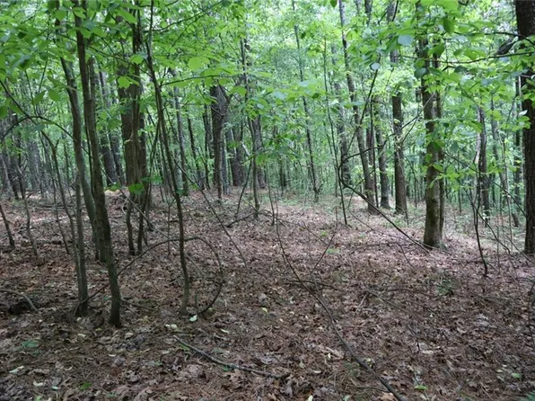 0 Parksbrook Rd #A, Ellijay, GA 30540
