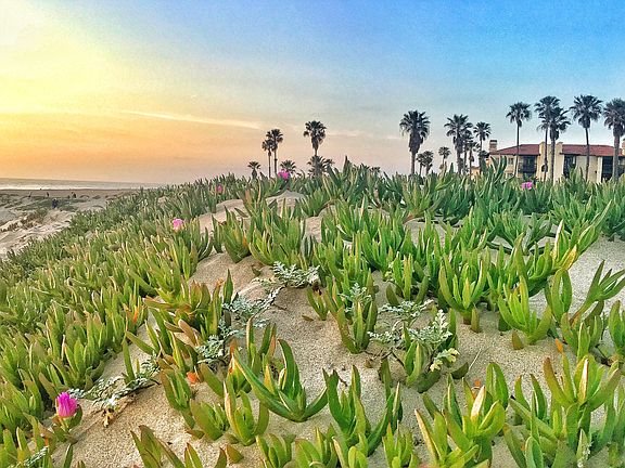 Your walk to the Beach