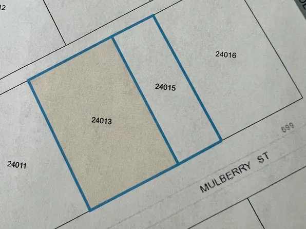 607 Mulberry St LOT MULTI, Jourdanton, TX 78026