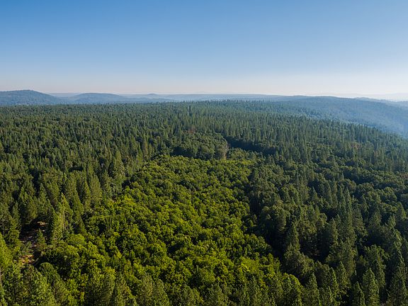 3rd image of A1 Foresthill Rd