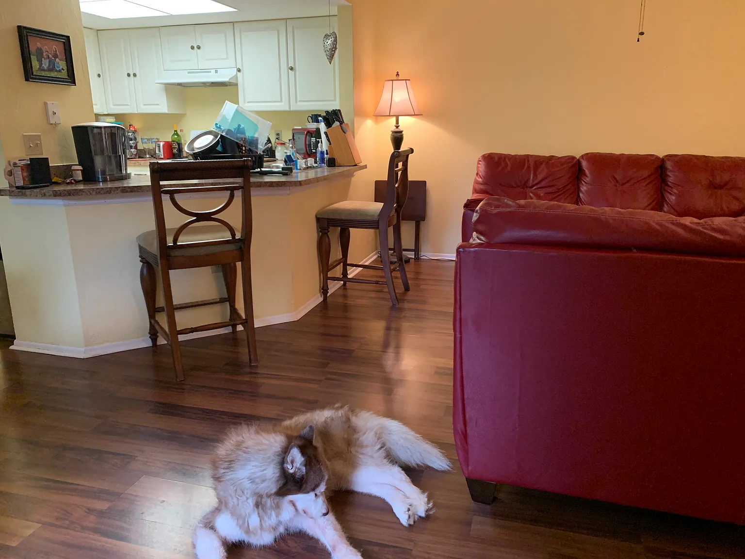 1 bed, 684 sqft, $1,700 — Photo 3