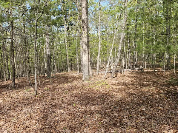Elderberry Ln, Buena Vista, VA 24416