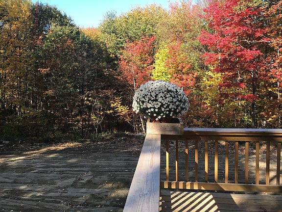 Fall on Huckleberry Road