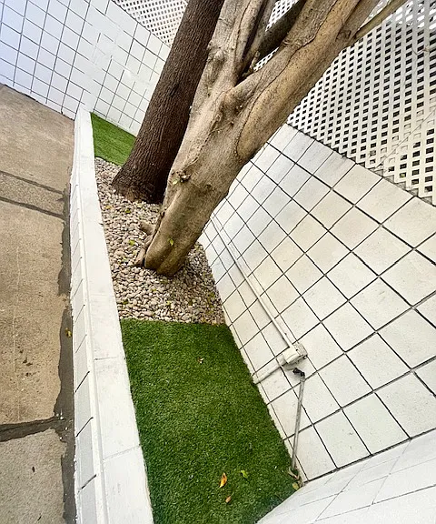 Occidental Towers Apartments — Photo 150