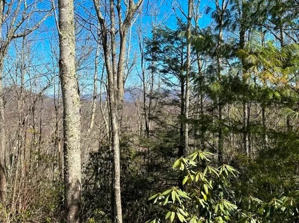 Lot 4B & 5 Chestnut Mountain Road, Banner Elk, NC 28604