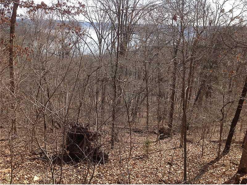 2nd image of Elm Ave