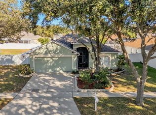 2729 Pankaw Ln, Valrico, FL 33596