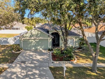 2729 PANKAW LANE, Valrico, FL, 33596