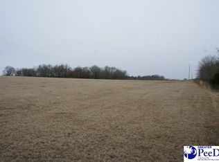 1239 Campbell Rd, Jefferson, SC 29718