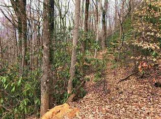 103 Green Forest Rd, Cosby, TN 37722