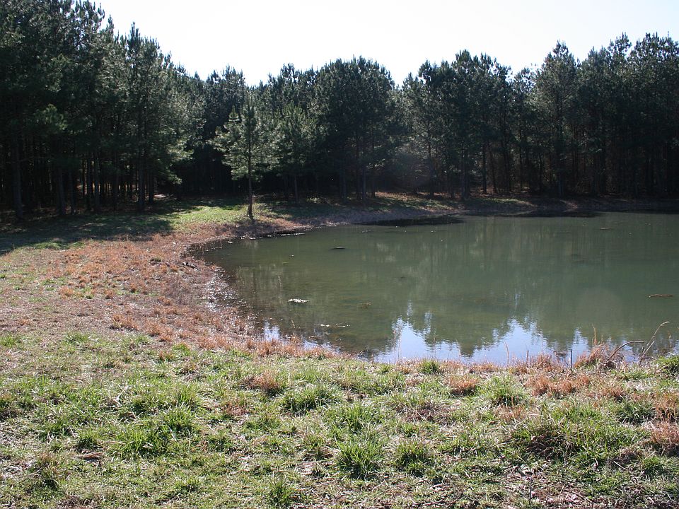 2nd image of 541 Lee Warren Ln