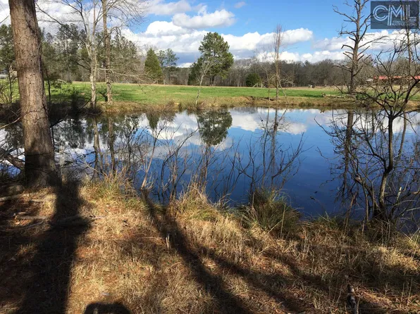 3213 Holley Ferry Rd, Leesville, SC 29070