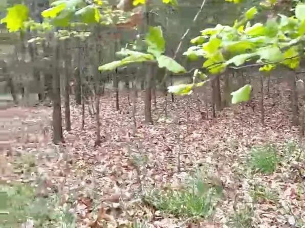 14 Hillcrest Ln, Berkeley Springs, WV 25411