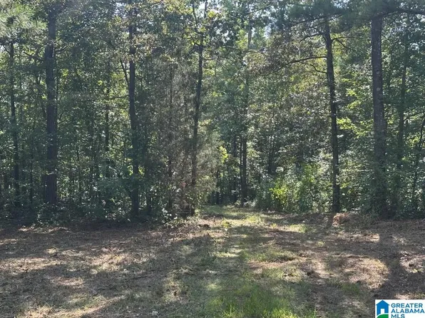 1550 McKesie St #1, Riverside, AL 35135