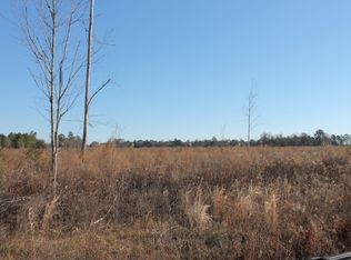 South Chad Lake Rd., Alma, GA 31510