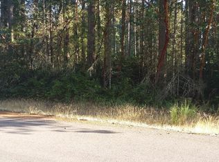 12516 92nd Street Ct, Anderson Island, WA 98303